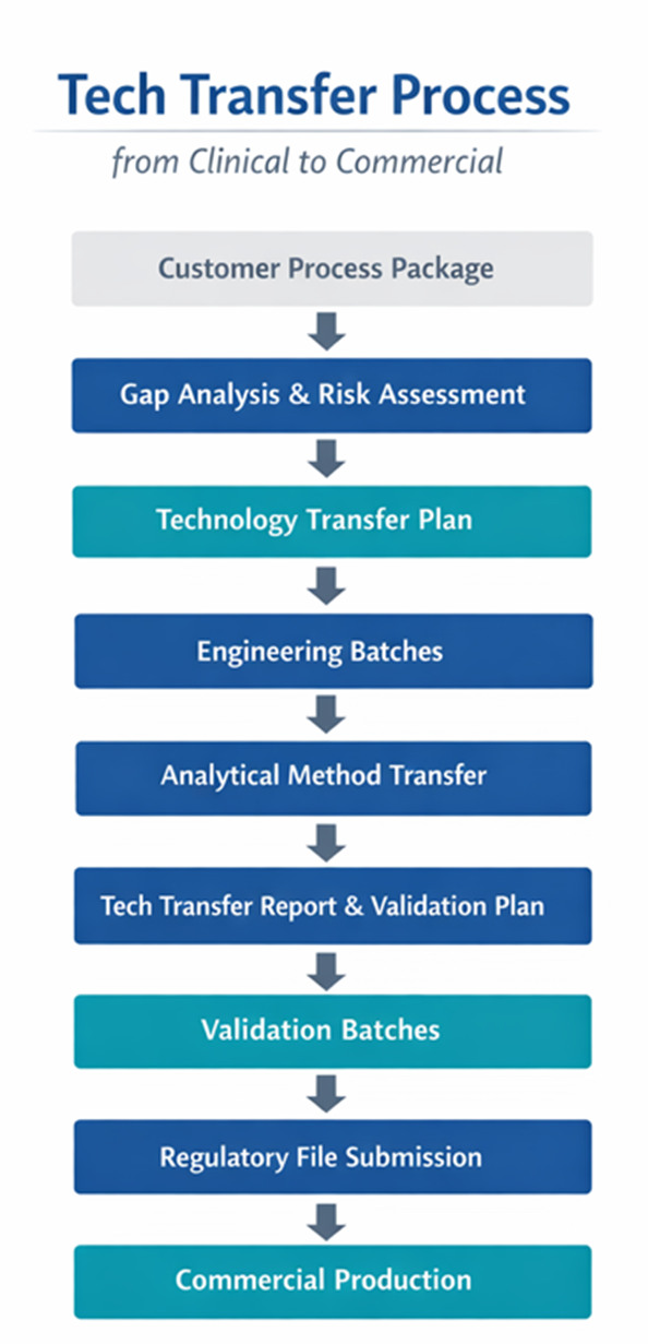 Tech Transfer Process at CARBOGEN AMCIS