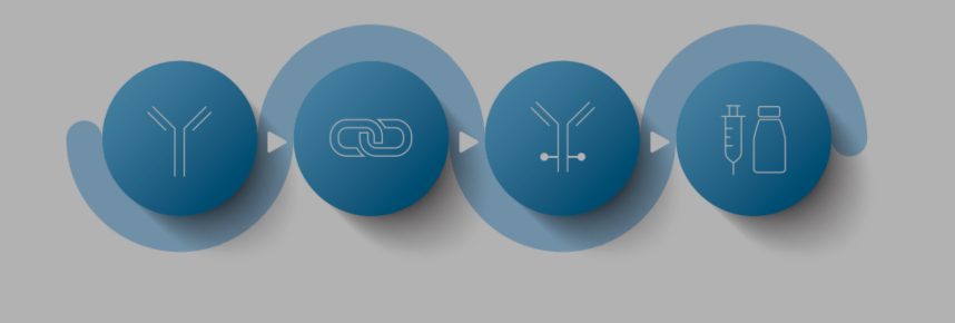 Bioconjugation and ADC - CARBOGEN AMCIS x Celonic collaboration - Brochure