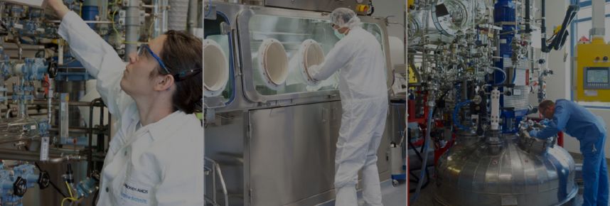 Case study: First Industrial (Total) Synthesis of Amanitin Derivatives by CARBOGEN AMCIS