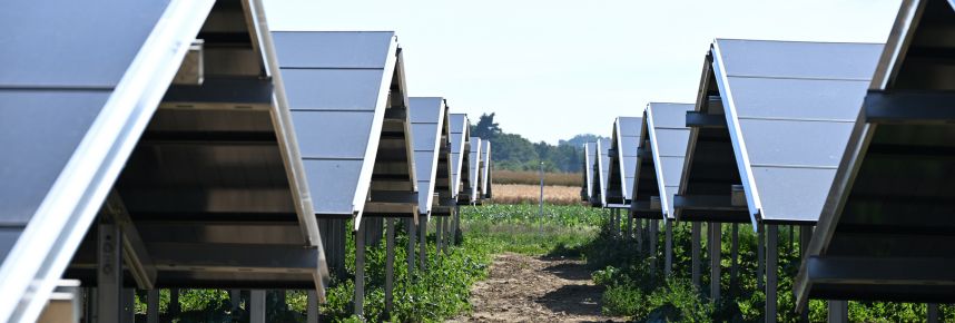 Ground-mounted Photovoltaic System Commissioned at CARBOGEN AMCIS' Hunzenschwil Site